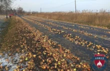 Kierowcy zablokowali drogę pod Łowiczem. Zbierali rozsypaną cebulę