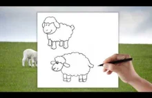Owca - Jak narysować Baranka - Nauka rysowania - krok po kroku