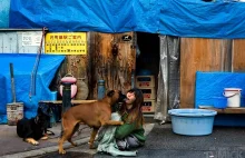 Biedota i slumsy w Japonii