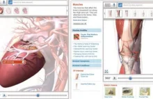 BodyMaps: anatomia człowieka w 3D.