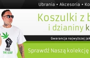 Koniec bezsensownego ścigania okazyjnych palaczy | HempEmpire Blog