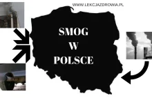 Smog w Polsce – Niezdrowy problem z powietrzem