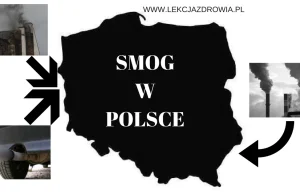 Smog w Polsce – Niezdrowy problem z powietrzem