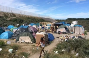 Imigranci z obozowiska w Calais wdzierają się do domów. Szukają żywności i...