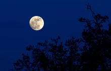 Już niedługo Księżyc przesunie się na sferze niebieskiej blisko Jowisza.