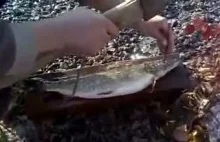 Szybkie czyszczenie ryby