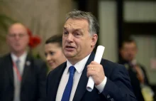 Orban: Powstaje stanowisko państw wyszehradzkich ws. Wielkiej Brytanii