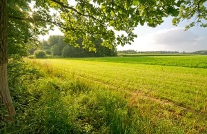 Kolejna ofiara "Przyjaznego państwa". Rolnik spod Jeleniej Góry nie wytrzymał...