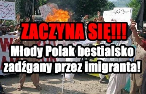 ZACZYNA SIĘ: Młody Polak bestialsko zadźgany przez imigranta!