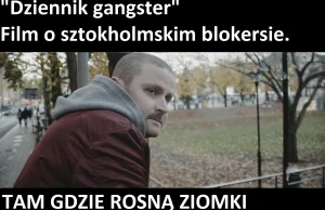 Tam gdzie rosną ziomki, czyli "Dziennik gangstera"