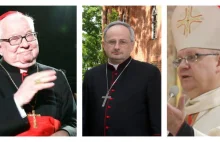 Oto księża, którzy ukrywali księży pedofilów. Raport trafił do papieża...