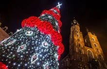 Czy wiesz skąd są świecące choinki w naszych miastach? Wcale nie z Chin.