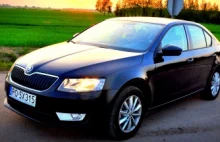 Skoda Octavia G-TEC - ma sens, ale nie ma