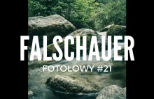 Fotołowy #21 Falschauer