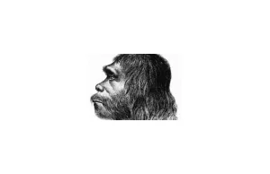 Cywilizacja neandertalska?