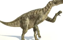 W La Manche odnaleziono skamieniały mózg dinozaura
