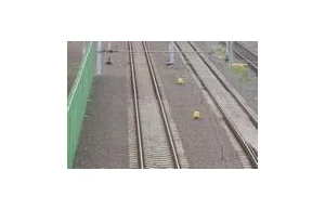 Brzeg: Jechała autem po torach, sparaliżowała ruch pociągów - 16 marca 2012