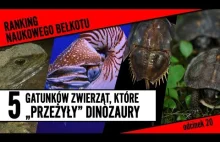 5 gatunków, które "przeżyły" dinozaury