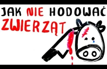 Jak NIE hodować zwierząt? Powszechne praktyki w hodowlach...