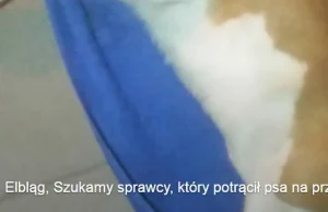 Kto potrącił Lulę?