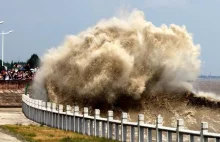 Zobacz niezwykły cud natury. ”Tsunami płynie pod prąd”