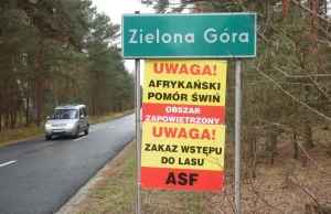 Zielona Góra. Przez wirusa ASF działkowcy nie mogą dostać się do ogrodów