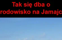 Jamajska ekologia