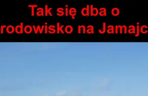 Jamajska ekologia