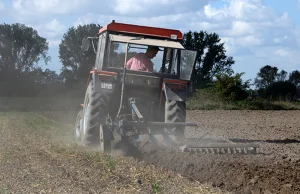 Rolnik zatrudnił bez pozwolenia na pracę, grozi mu do 30 000 zł grzywny