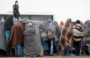 Uchodźcy na pokolenia. "To zmieni Stary Kontynent nie do poznania"