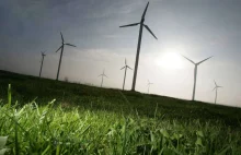 Rząd mówi "nie" finansowaniu energii wiatrowej.