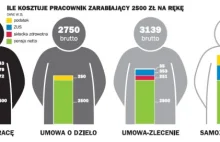 Śmieciówki biją rekordy. W Polsce jest ich najwięcej!