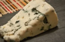 „Woń dość przyjemna”. 340-letni ser znaleziono we wraku okrętu na Bałtyku