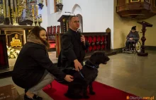 Piękny gest polskiego duchownego, podczas mszy zachęcał do adopcji psów