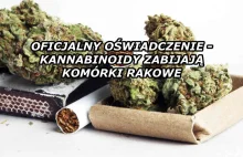 Marihuana zabija komórki rakowe - oficjalne wyniki