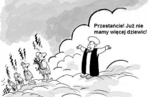 Wszystko nadaremno