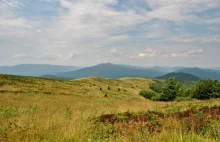 A może by tak p...ć tym wszystkim i wyjechać w Bieszczady?