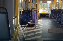 Gdańsk: Podziel się sobą... w tramwaju