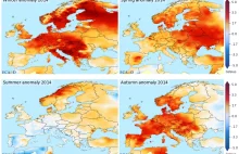 Rekordowo ciepły rok w Europie - tak ciepło nie było co najmniej od 500 lat