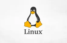 Linux zamiast Windowsa. Rząd Korei Południowej wybrał darmowy system
