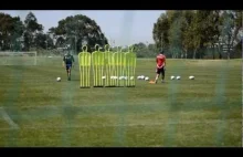Alessandro Del Piero pracuje na treningu nad rzutami wolnymi
