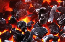 Grabież czarnego złota- cena węgla w Zachodniej Europie wynosi 250 zł/1t....
