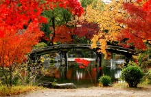 Jesień w Kioto