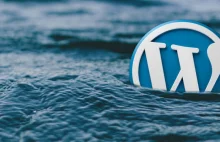 WordPress security holes – online training