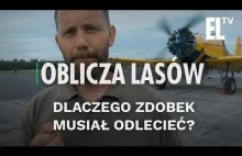 W jaki sposób opryskuje się Polskie lasy? | Oblicza lasów #30