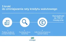 Frankowicze: Jak nie tracić na racie kredytu walutowego? | BLOG xchanger.pl