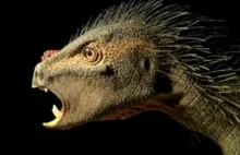 Zobacz dinozaura z kłami jak wampir i kolcami jak jeż