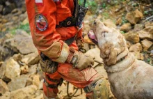 Pies strażacki Diego uratował dziewczynę. 18-latka była w dramatycznym stanie