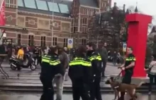 holenderska policja w akcji VS afroeuropejczyk