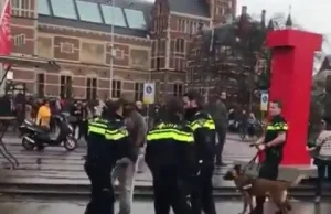 holenderska policja w akcji VS afroeuropejczyk